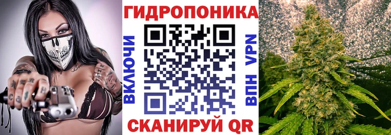 Купить Козельск АМФЕТАМИН  MEGA ONION  ГАШИШ  МАРИХУАНА  Псилоцибиновые грибы  Cocaine  Меф  МЕТАМФЕТАМИН 