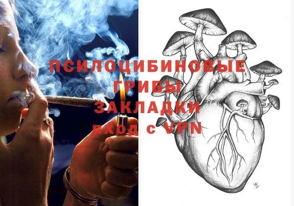 Альфа ПВП Баксан