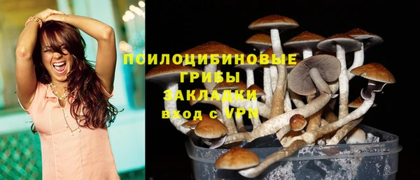 Альфа ПВП Баксан