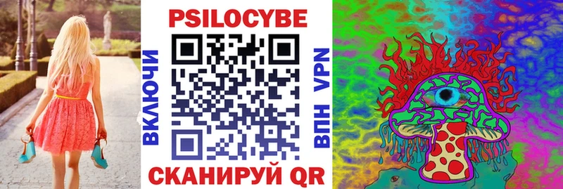что такое   Козельск  Псилоцибиновые грибы MAGIC MUSHROOMS 